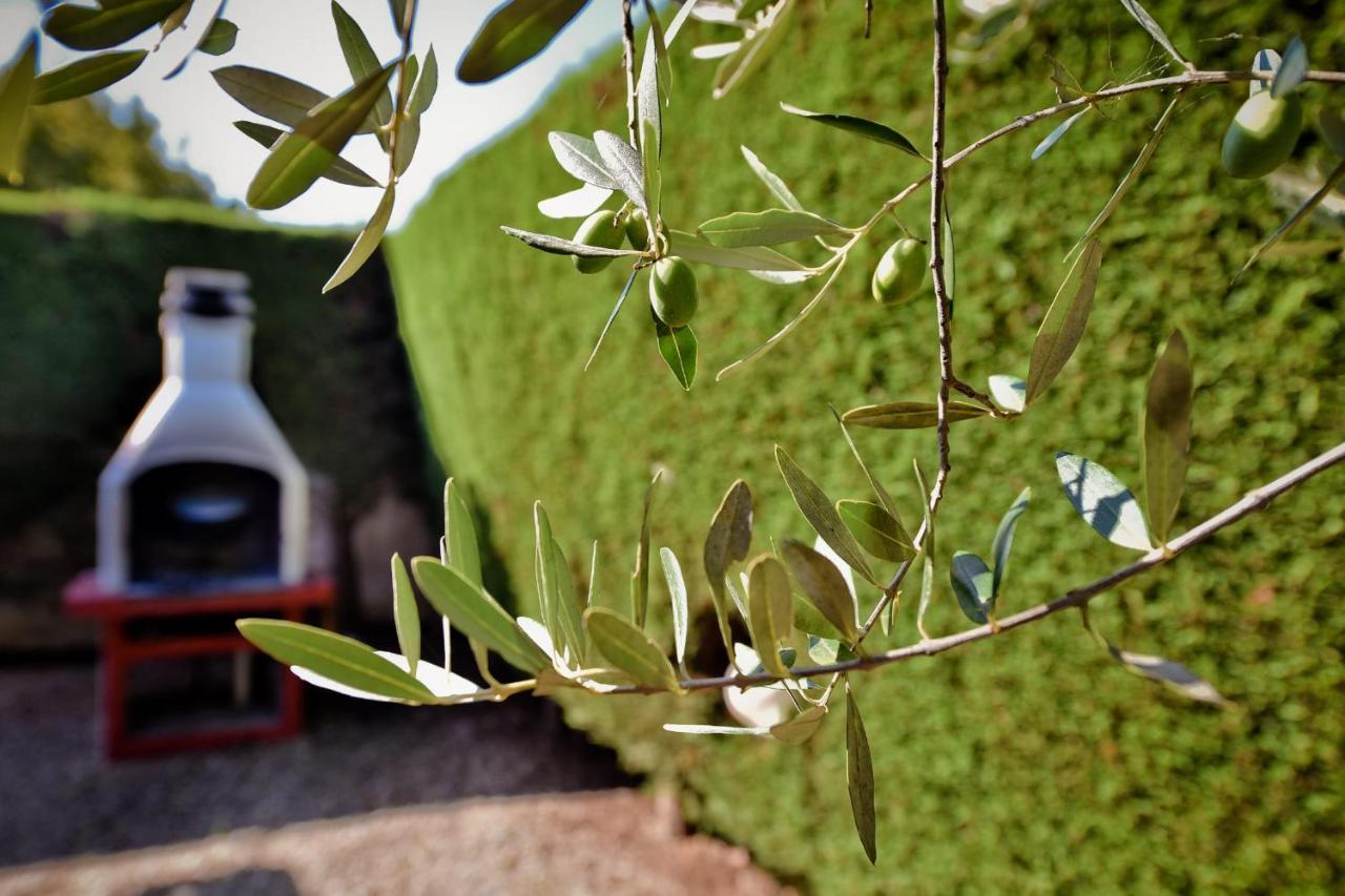 I Cinque Trulli With Swimming Pool Villa Martina Franca Ngoại thất bức ảnh